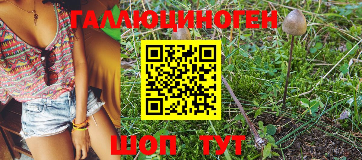 Егорьевск  Псилоцибиновые грибы GOLDEN TEACHER  Вход с VPN 